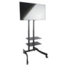 Flatscreen Trolley 6 - 37''-55''